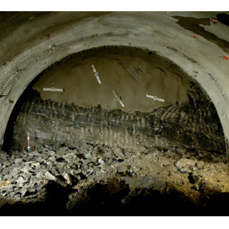 2121非凡国际·(中国)体育官方网站