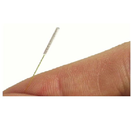 2121非凡国际·(中国)体育官方网站